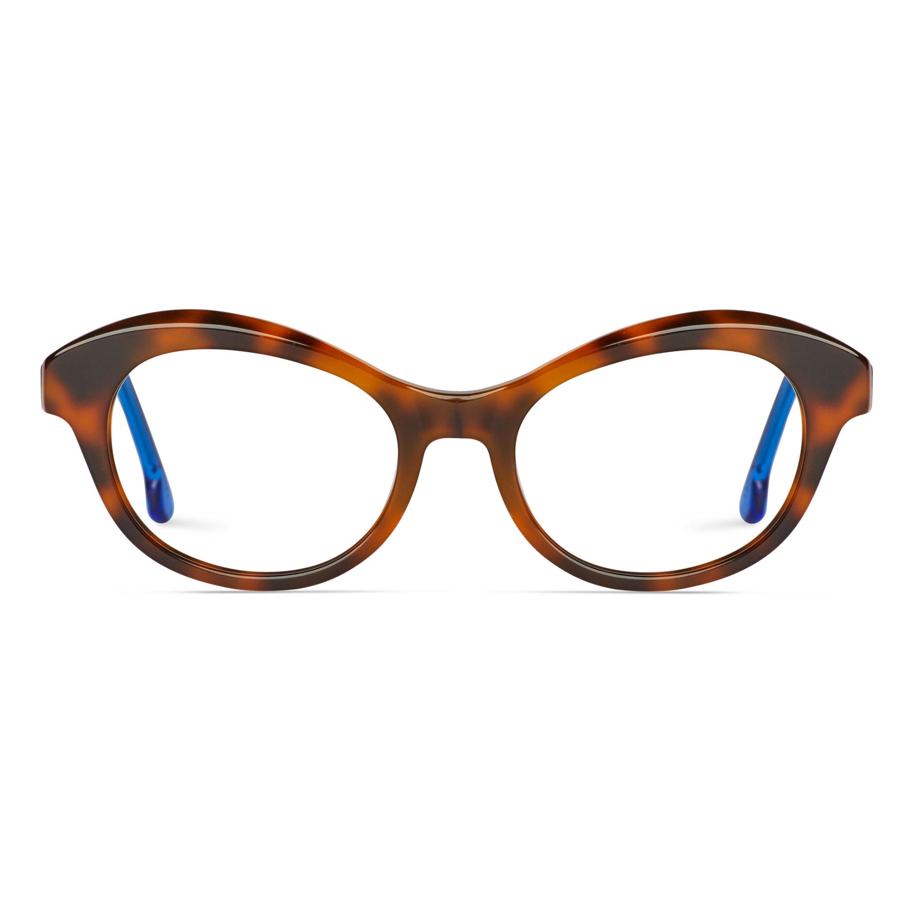 Tortoise & Blue