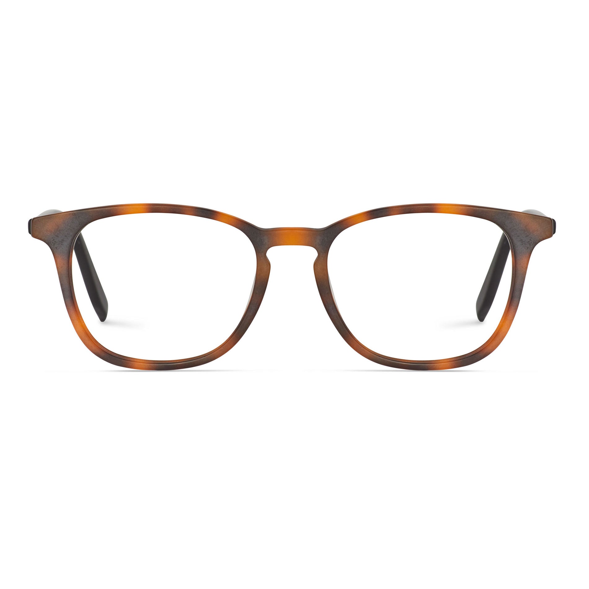 Tortoise & Black
