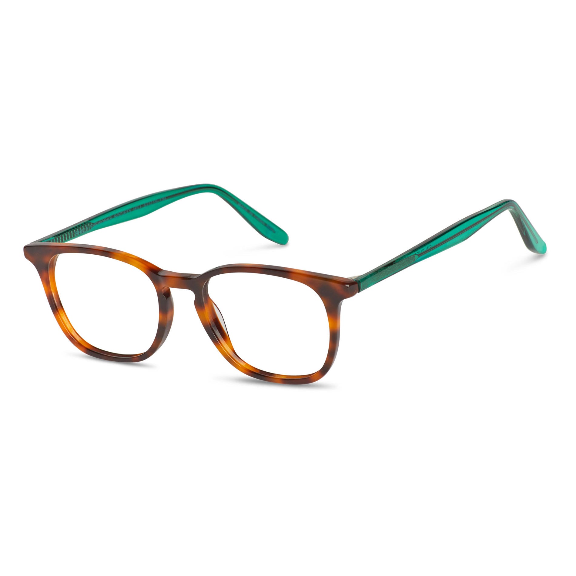 Tortoise & Green